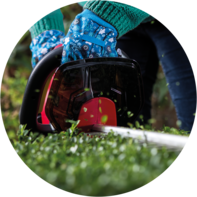 circular framed, close up image, of power tool being used to trim a hedge