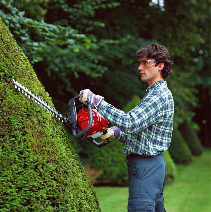 Honda Hedgetrimmer cutting a hedge