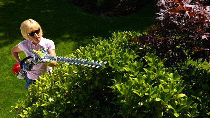 Honda Versatool with hedgetrimmers attachment, being used by model, garden location.