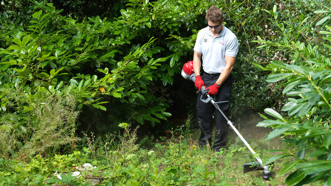Honda Versatool with line trimmer attachment, being used by model, garden location.