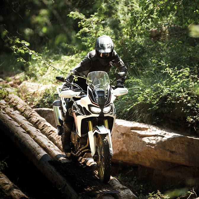 Bike being ridden across logs