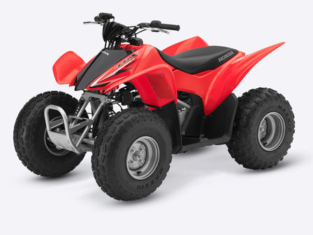 Front three-quarter, left facing Fourtrax 250.