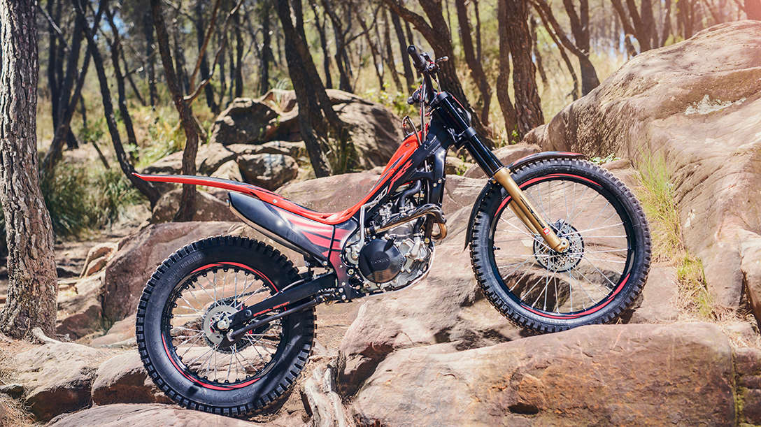 Montesa Cota 300RR in woods