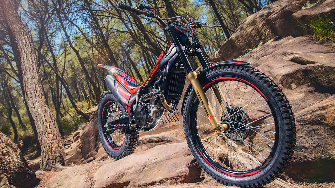 Montesa Cota 300RR in woods
