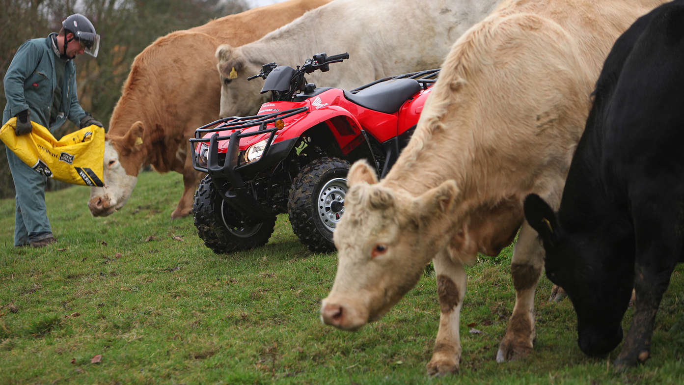 Front three-quarter Fourtrax 250, field location.