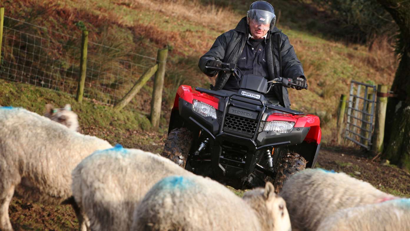 Front three-quarter, left facing Fourtrax 420, being used by model, field location.