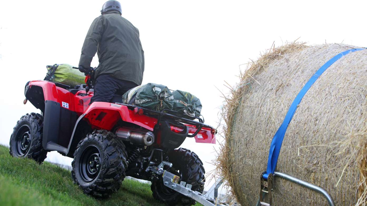 Foreman being used by model, field location.