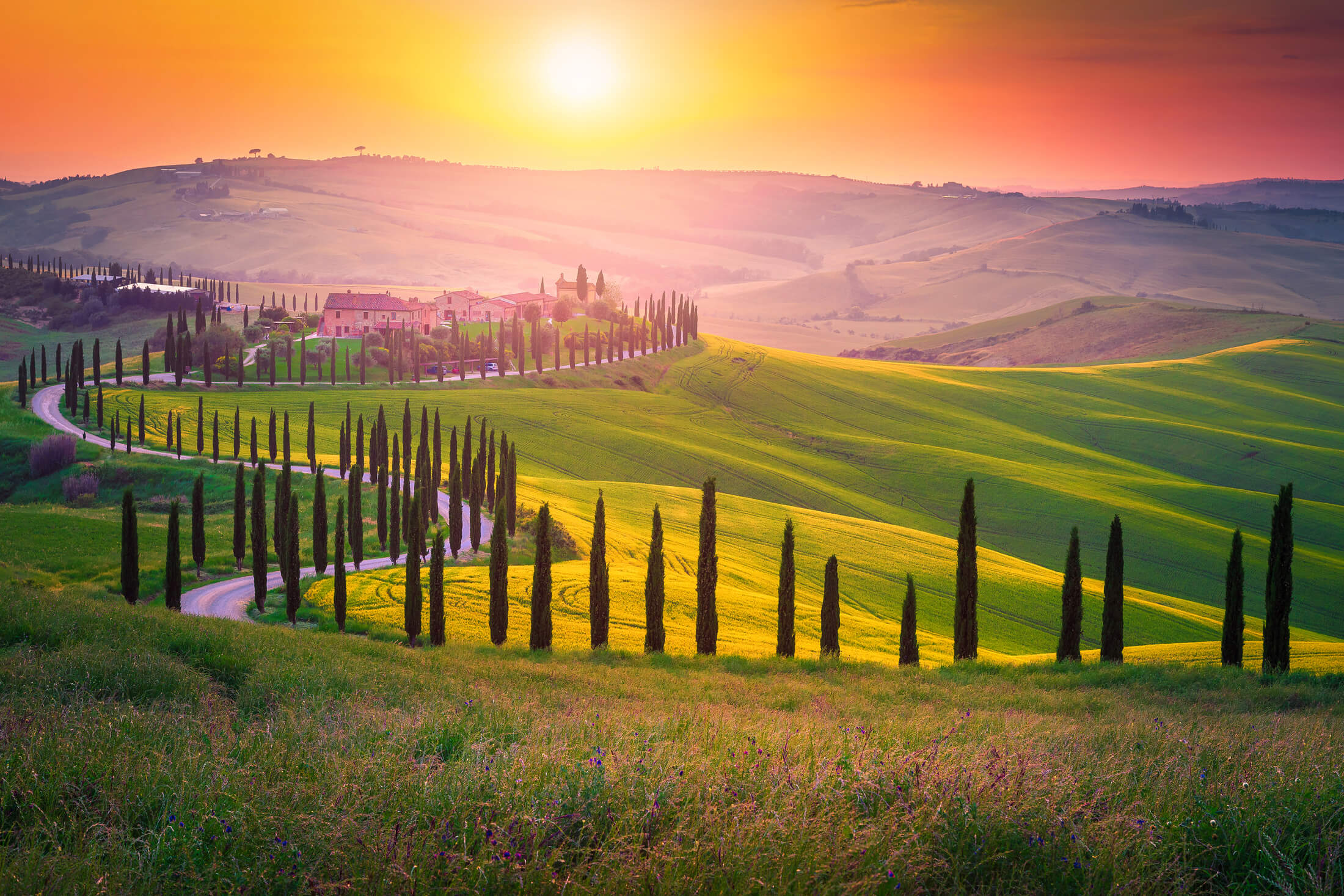 Sunset in Tuscany, Italy, with a road flanked by cypress trees