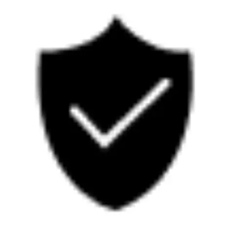 safety shield icon