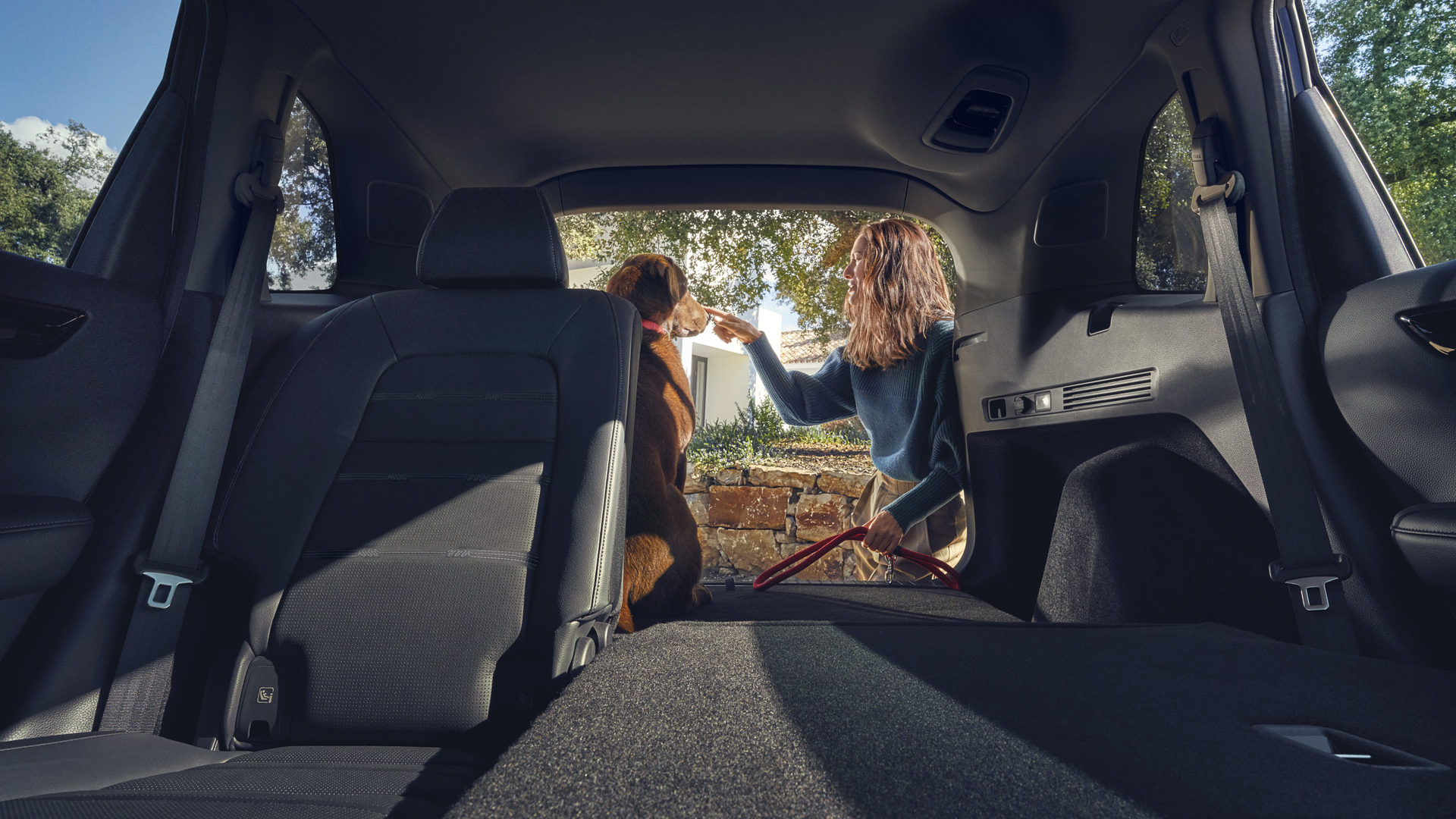 Rear of Honda CR-V Hybrid with back seats folded down and a dog in the boot.