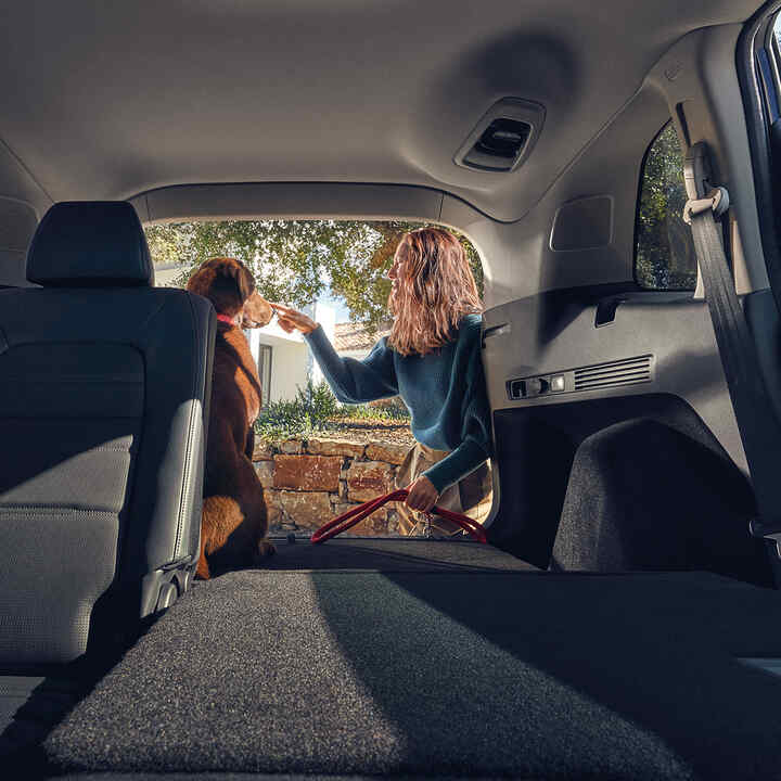 Rear of Honda CR-V Hybrid with back seats folded down and a dog in the boot.