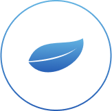 Blue icon Leaf