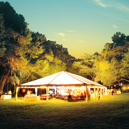 iluminated camping tent outside in the evening between trees