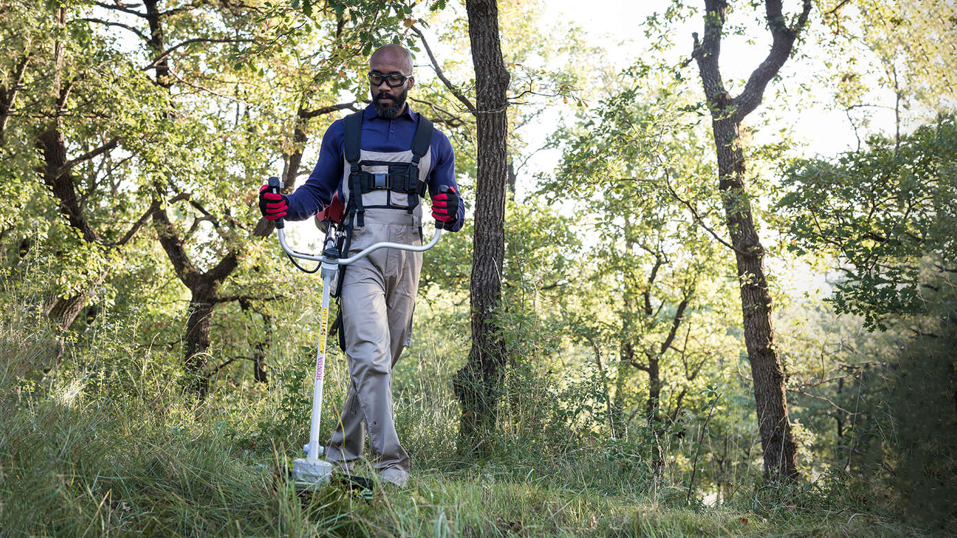 Brushcutter being usedin forest by man