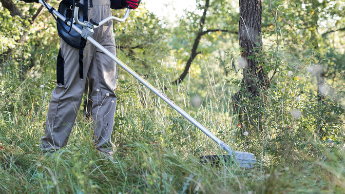 Front-three quarter view of Honda cordless brushcutter with model in a field.