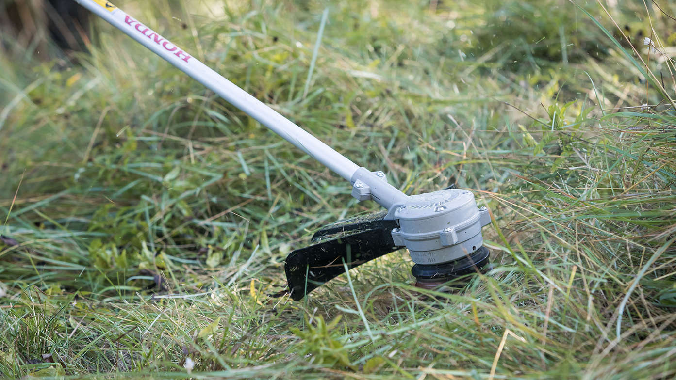 Honda clearance cordless strimmer