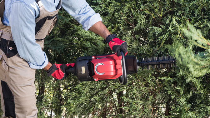side view of man cutting a bushy hedge with honda cordless hedgetrimmer