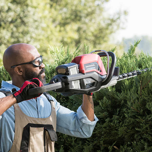Best battery powered pole hedge hot sale trimmer