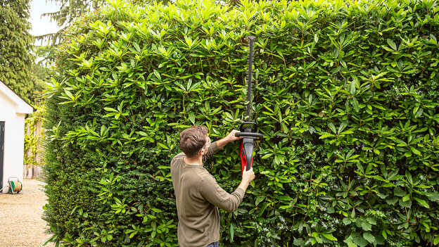 Man using Honda Cordless Hedgetrimmer on hedge in a garden location.
