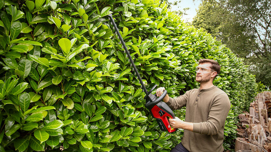 Woman using Honda Cordless Hedgetrimmer to cut hedge in garden location.