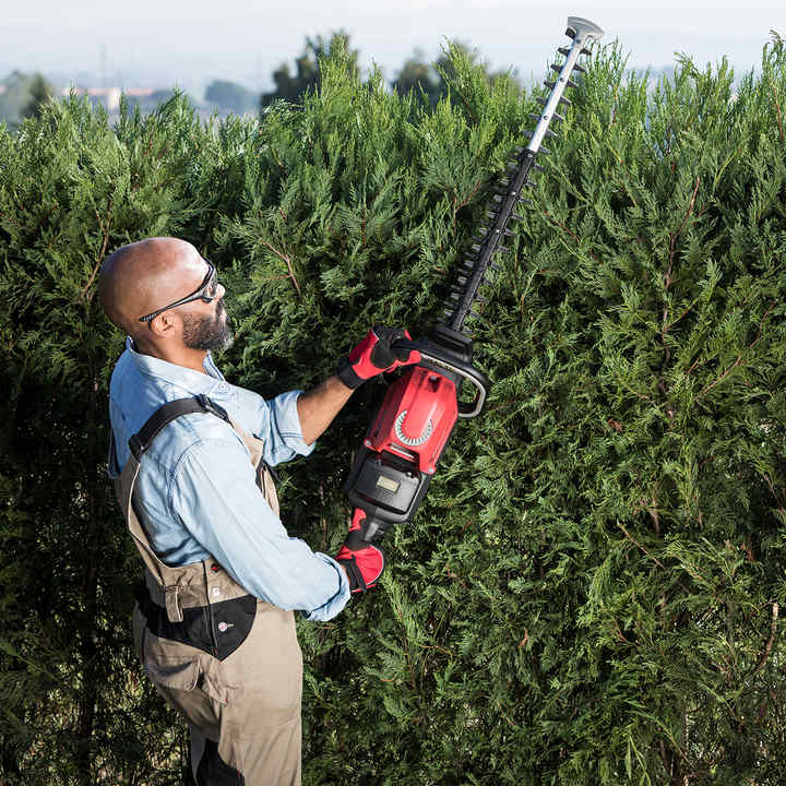 hedge trimmer the range