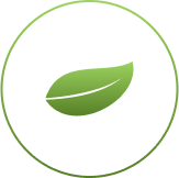 Zero emissions Icon