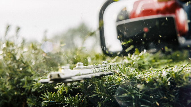 Close up of hedgetrimmer being used