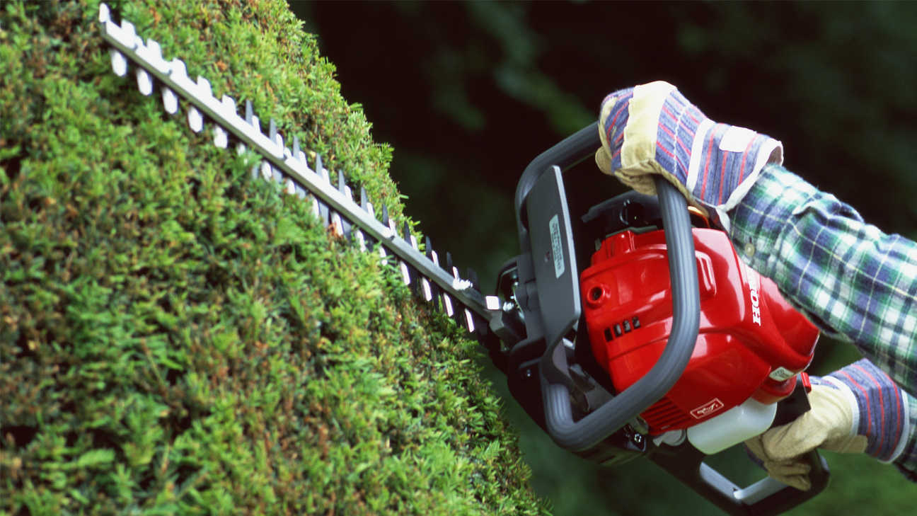 New Petrol Hedge Trimmers & Cutters Honda UK
