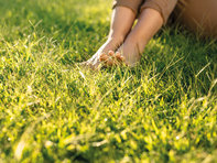 photo of a person sitting on a lawn on a sunny day