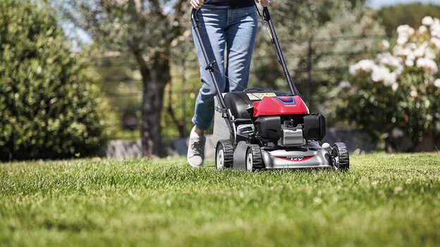 Honda IZY lawnmower side view with woman in garden location