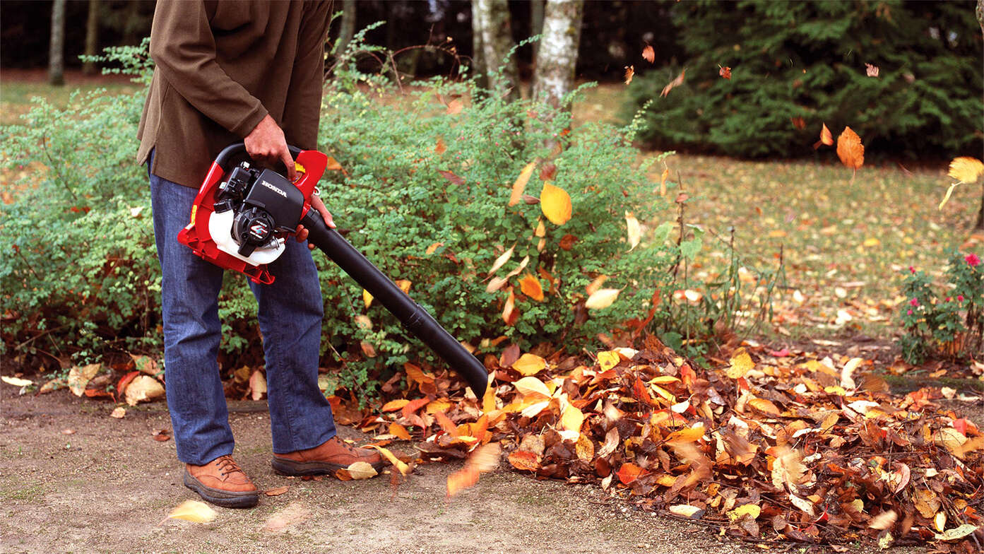 Model using the Honda leafblower in park location.