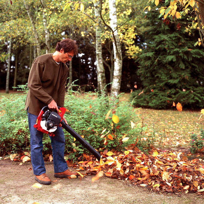 Leafblower being used by model, garden location.