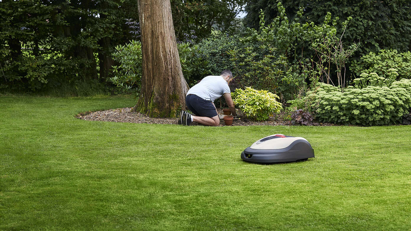 Last Mow & Next Schedule