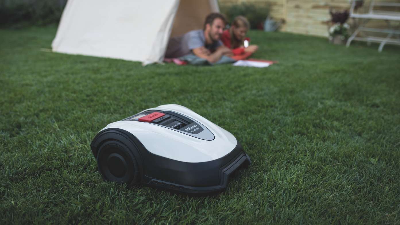 Miimo on the lawn with family in tent in the background.