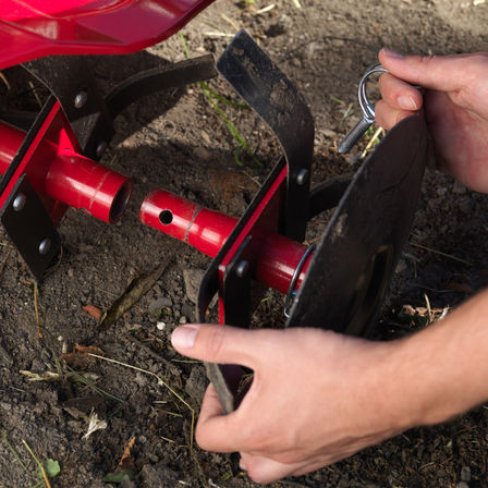 Close up of tines, garden location.