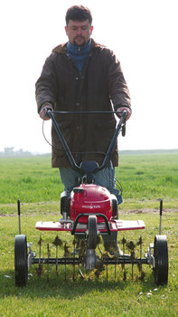 Mini tiller, front facing, being used by model, focusing on de-thatcher, garden location.