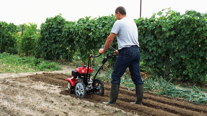 Rotary tiller, being used by model, garden location.