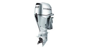 BF60 front three-quarter facing.