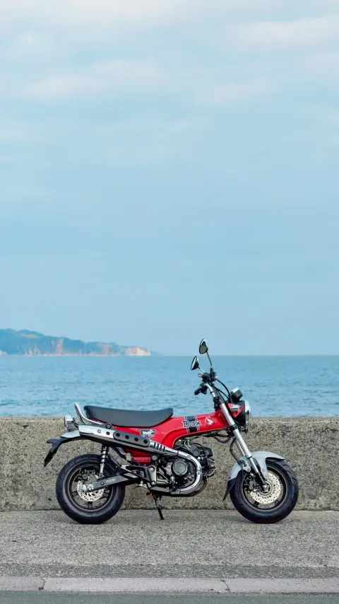 Dax 125 static side on image with rider and pillion