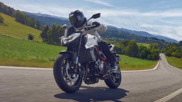 Dax 125 static rear shot