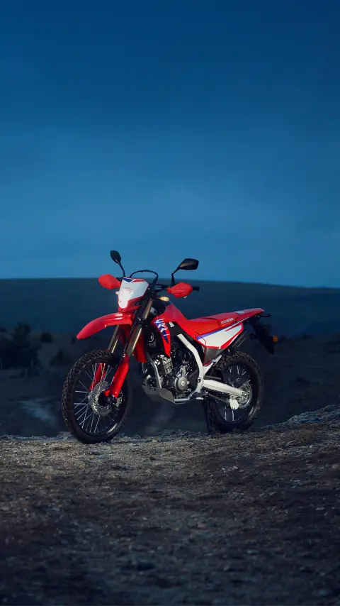Honda CRF300L and CRF300 Rally motorcycle.