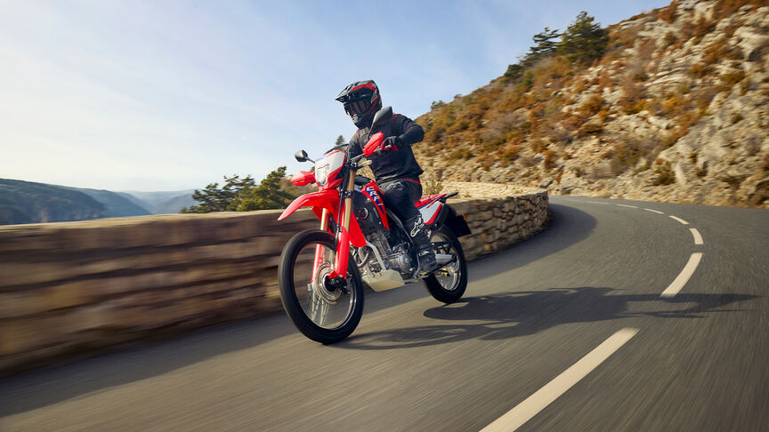 Honda CRF300L and CRF300 Rally motorcycle.