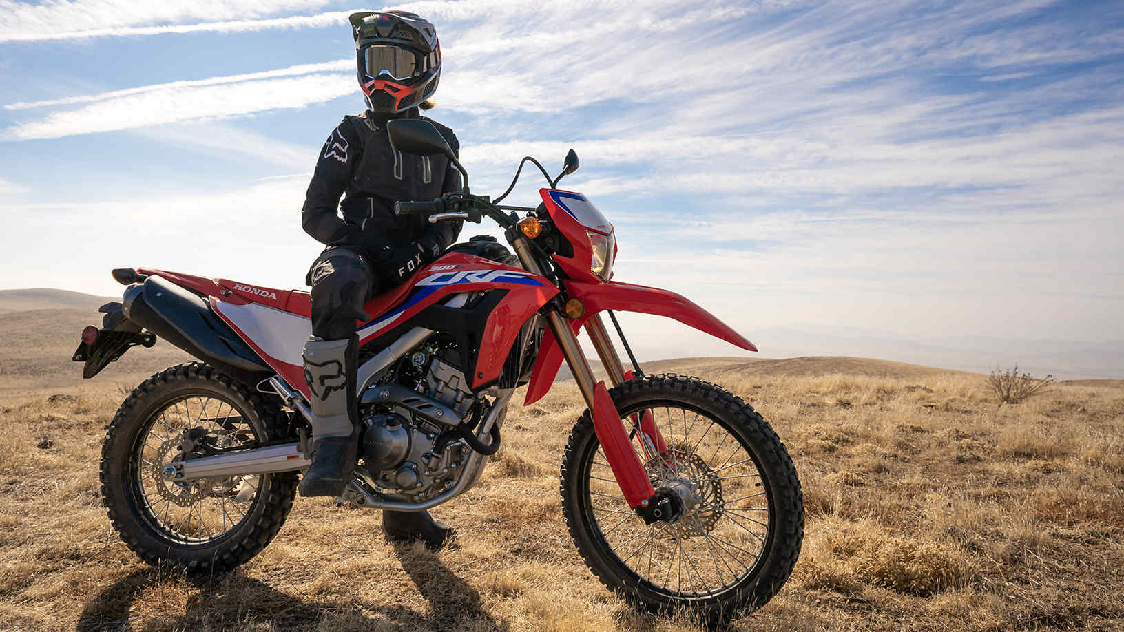 Used honda hotsell crf300l for sale