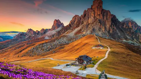 Wonderful alpine scenery with spring crocus flowers on the hill and spectacular mountains at sunset, Giau pass, Dolomites, Italy, Europe