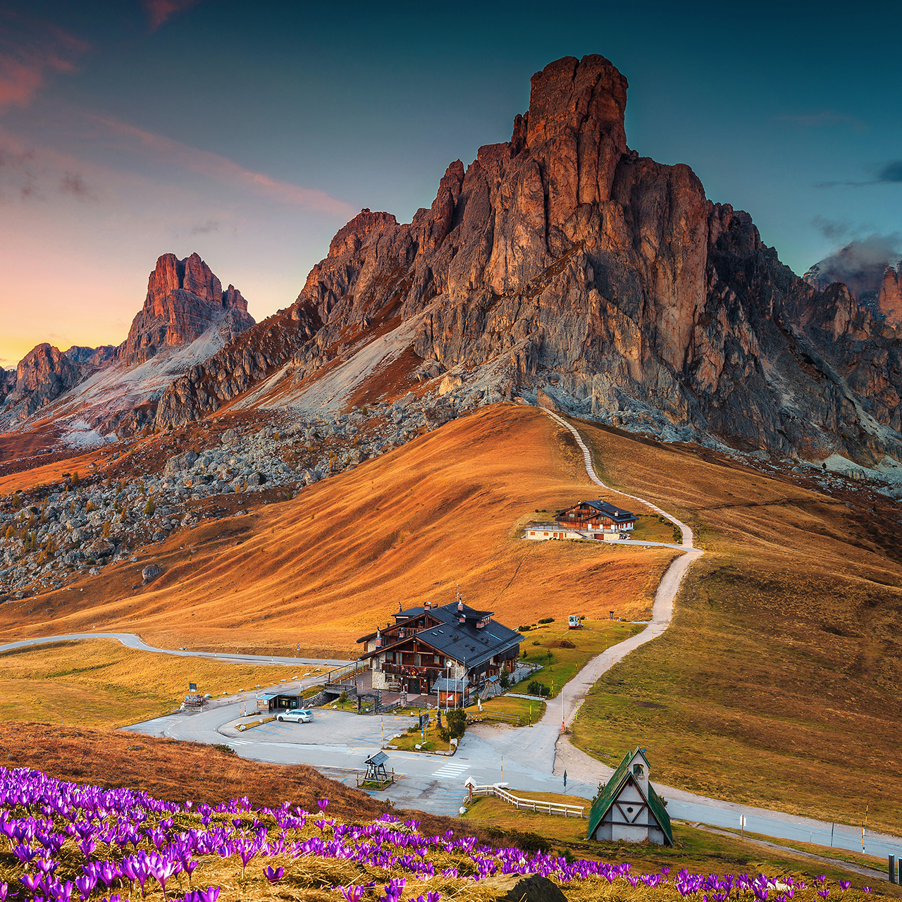 Wonderful alpine scenery with spring crocus flowers on the hill and spectacular mountains at sunset, Giau pass, Dolomites, Italy, Europe