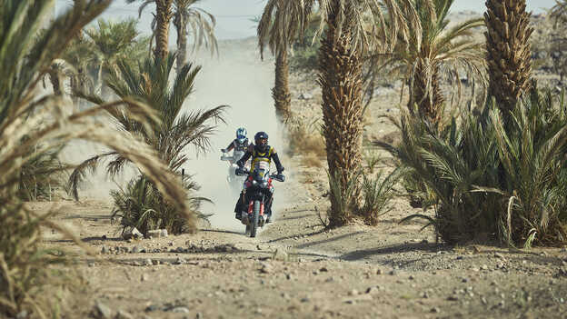 Africa Twin riders, riding through oasis.