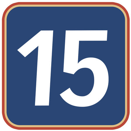 15 logo.