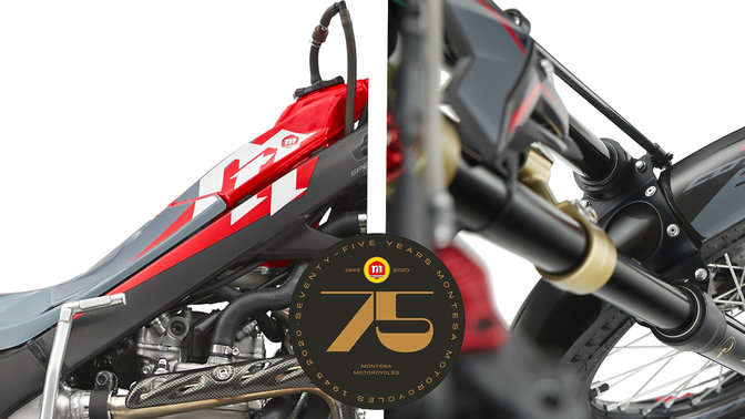 Honda Montesa Cota 301RR focus on fuel tank and suspension