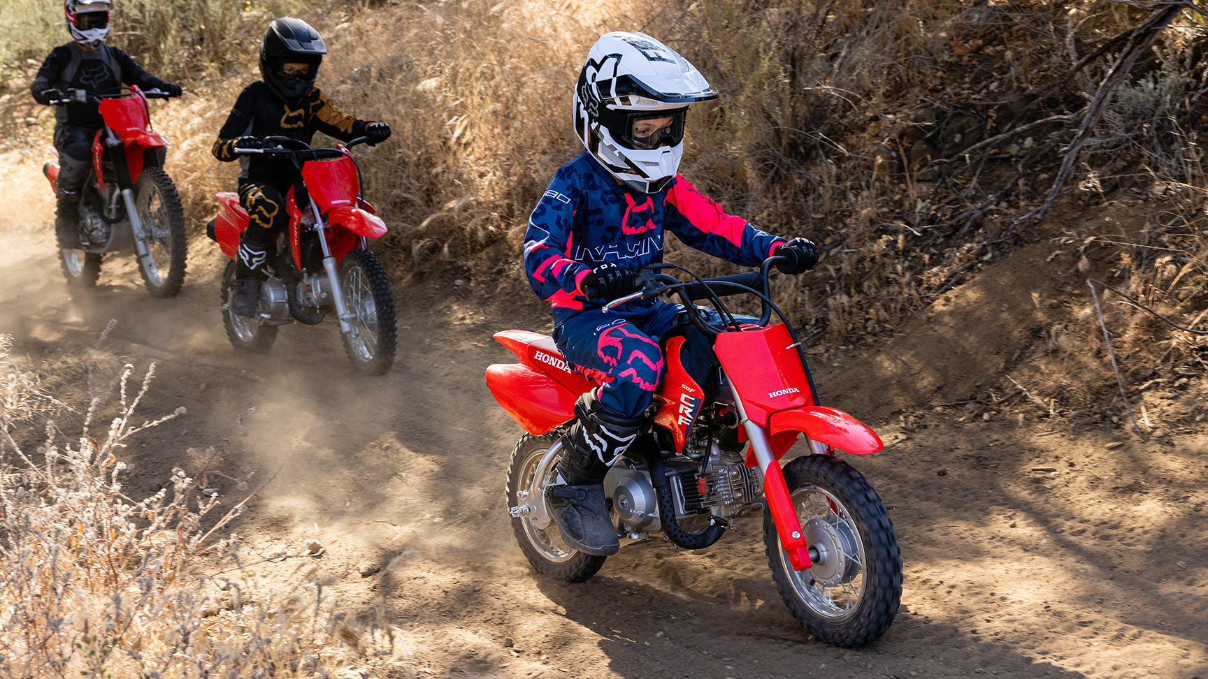 crf50f family