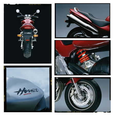 Collection of images of the Honda Hornet 600.